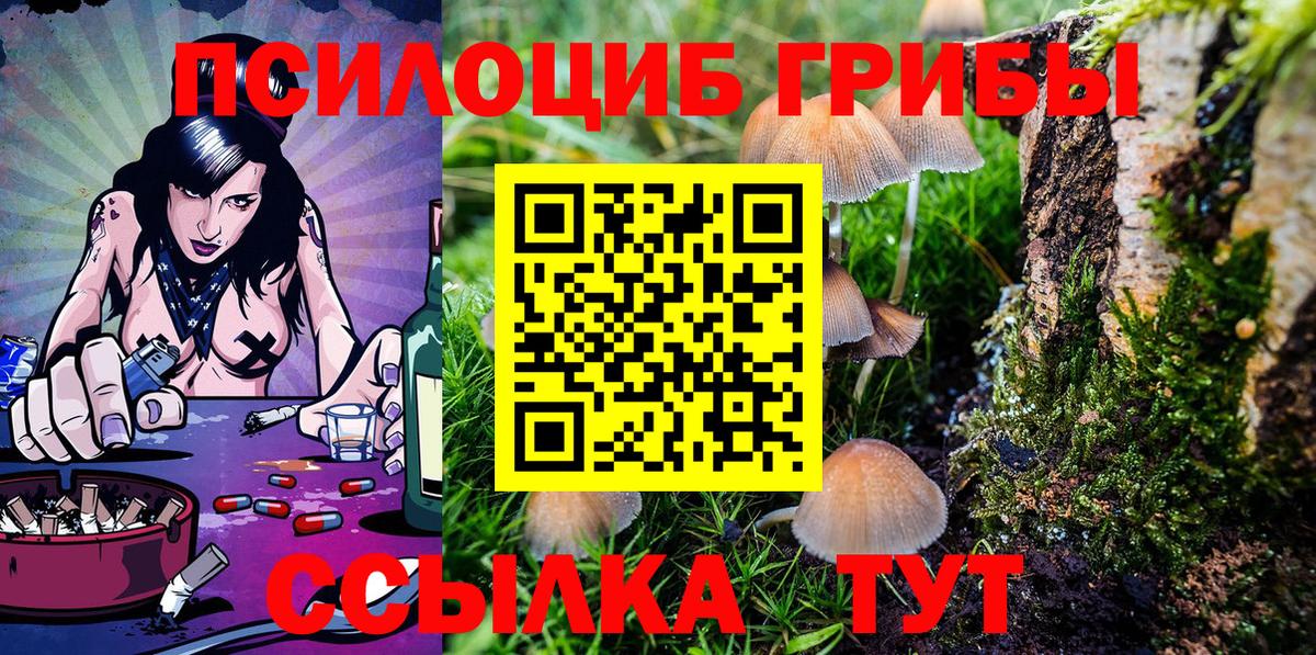 Псилоцибиновые грибы Psilocybe  Галлюциногенные грибы Cubensis  Вход с VPN  Корсаков 