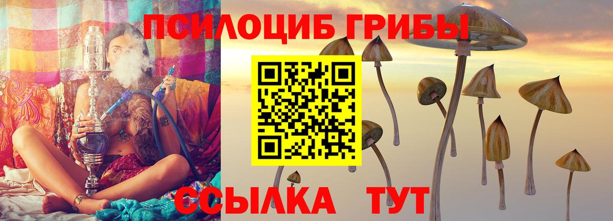 Псилоцибиновые грибы Cubensis Корсаков